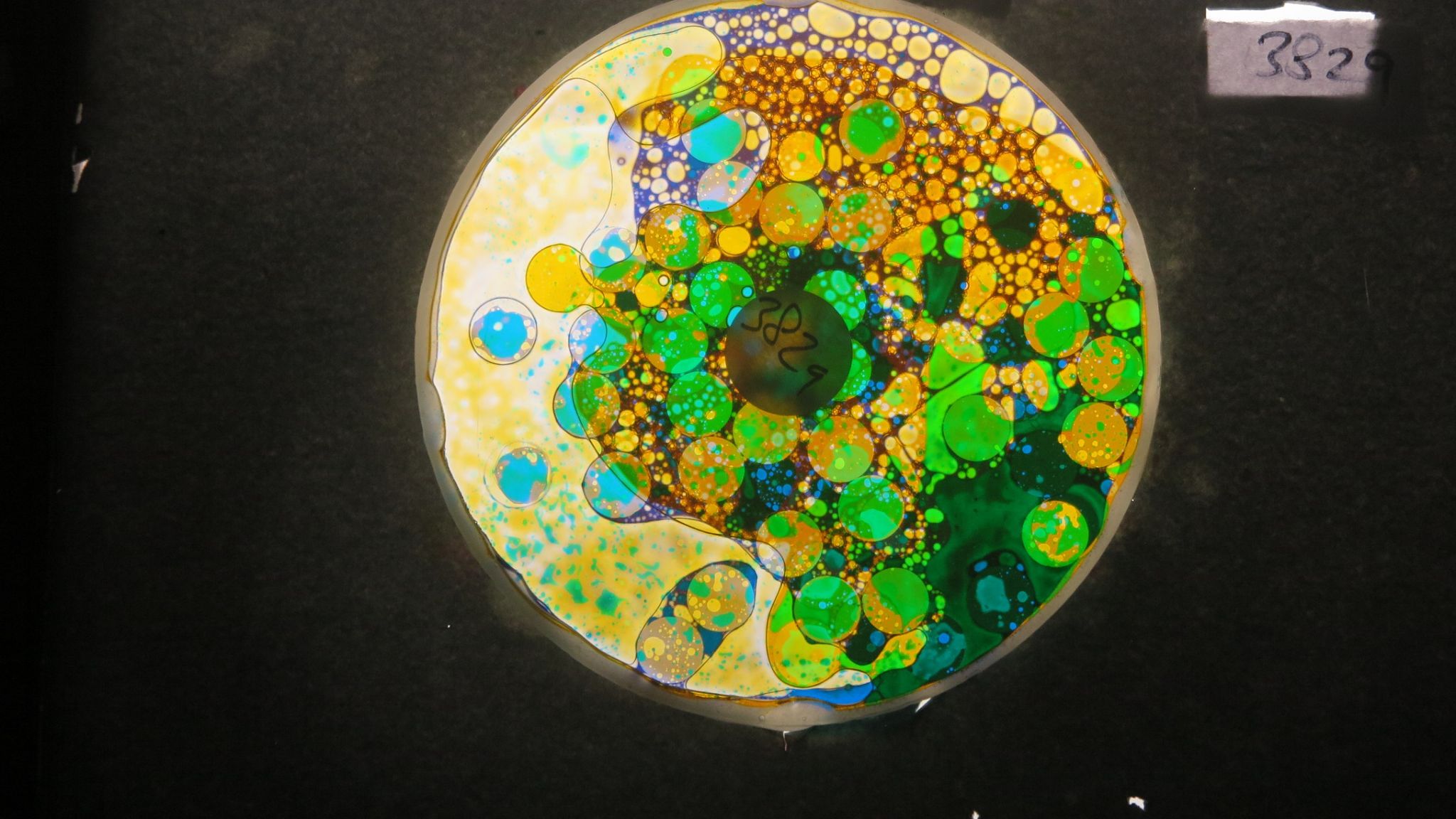 BV3829 bubble vision oil wheel